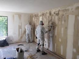 Forensic Mold Investigation in Bayou Country Clu, LA